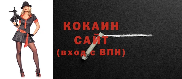 гидра Богородицк