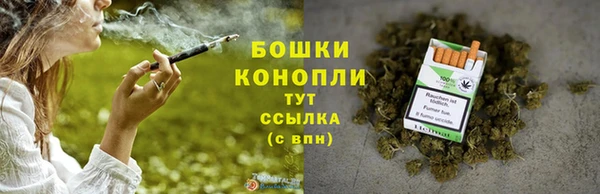 гидра Богородицк