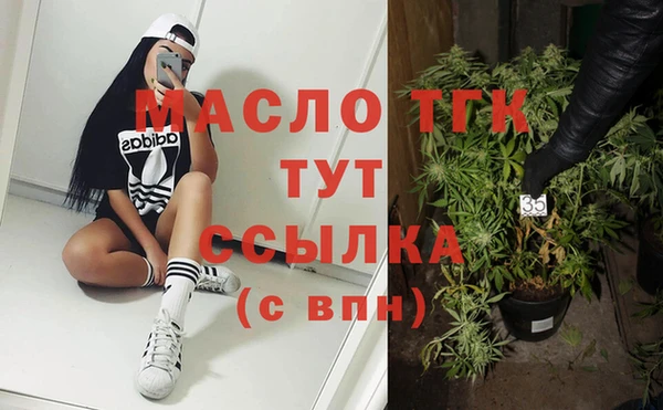 гидра Богородск